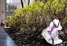 Nueva York es el tercer estado en prohibir las bolsas de plástico El estado de Nueva York se ha convertido este domingo en el tercero de EE.UU. en poner en marcha la prohibición del uso de bolsas de plástico