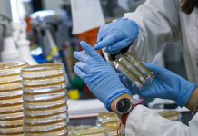Nueva York refuerza su capacidad de hacer análisis para detectar coronavirus El sistema de transporte ha difundido desde este fin de semana nuevos protocolos para los viajeros con el objetivo de evitar la expansión de la enfermedad.