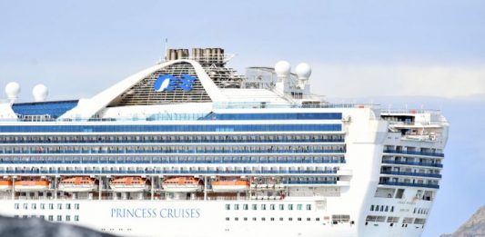 La empresa, que ha visto ya cómo la enfermedad afectaba a dos de sus cruceros, paralizará sus 18 barcos hasta el 10 de mayo, según anunció su presidenta, Jan Swartz.
