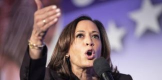 El exvicepresidente Joe Biden recibió este domingo el respaldo formal de la senadora Kamala Harris, ex aspirante a la candidatura presidencial demócrata, quien se suma así a la ola de apoyos de otros antiguos rivales moderados