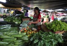 Ante la pandemia del coronavirus, el Consejo Nacional Agropecuario garantizó este viernes el abasto de alimentos para los mexicanos al afirmar que el campo, la pesca y el sector agroalimentario "están al 100 %"