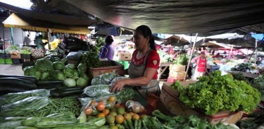Ante la pandemia del coronavirus, el Consejo Nacional Agropecuario garantizó este viernes el abasto de alimentos para los mexicanos al afirmar que el campo, la pesca y el sector agroalimentario "están al 100 %"