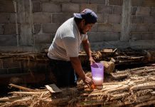 En plena pandemia de COVID-19, campesinos del estado mexicano de Chiapas reivindican la taberna, una bebida ancestral que toman como agua casi a diario y aseguran que, en tiempos de epidemias, fue la salvación de muchos.