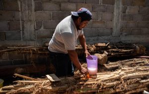 En plena pandemia de COVID-19, campesinos del estado mexicano de Chiapas reivindican la taberna, una bebida ancestral que toman como agua casi a diario y aseguran que, en tiempos de epidemias, fue la salvaci&oacute;n de muchos.