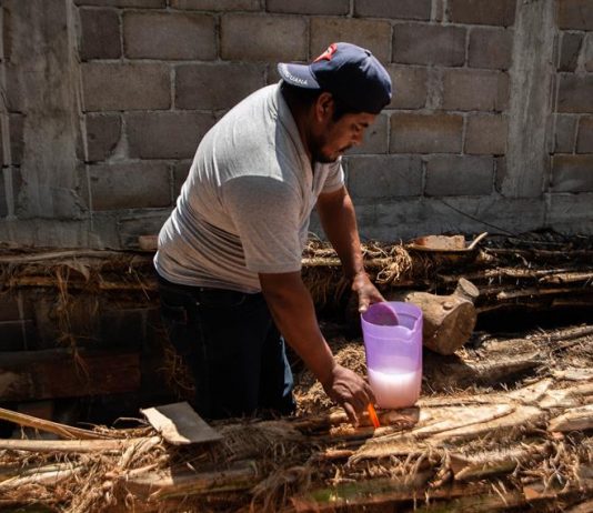 La bebida ancestral que campesinos mexicanos reivindican ante la pandemia En plena pandemia de COVID-19, campesinos del estado mexicano de Chiapas reivindican la taberna, una bebida ancestral que toman como agua casi a diario y aseguran que, en tiempos de epidemias, fue la salvación de muchos.