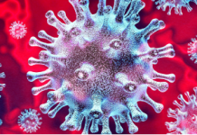 Los virus, bacterias, levaduras y hongos sobreviven y se proliferan en un ambiente ácido.