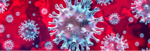 Los virus, bacterias, levaduras y hongos sobreviven y se proliferan en un ambiente &aacute;cido.