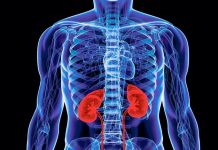 Alrededor de 13 millones de mexicanos padecen algún grado de enfermedad renal crónica pero apenas 150.000 reciben algún tratamiento dialítico