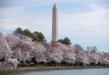 Las autoridades de Washington D.C. anunciaron este viernes el fallecimiento de un hombre de 59 años que fue hospitalizado la semana pasada por COVID-19