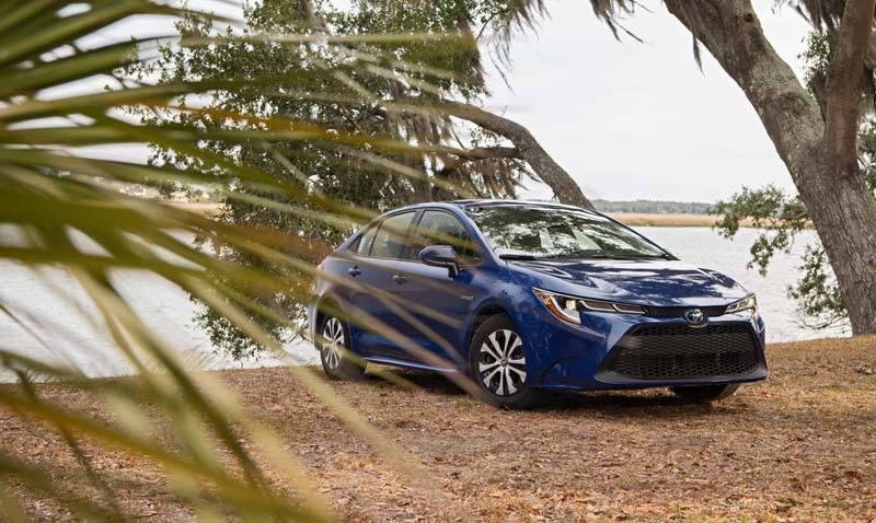 Toyota Corolla.