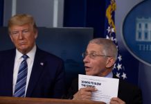 la disputa ha sido protagonizada por Pete Navarro, uno de los máximos asesores del presidente Trump, y el director del Instituto de Enfermedades Infecciosas, el doctor Anthony Fauci