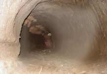 Descubren túnel entre EE.UU. y México con drogas valuadas en casi 30 millones Un sofisticado túnel que se extiende por debajo de la frontera entre México y California fue descubierto junto con un cargamento de drogas