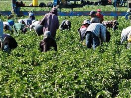 Los inmigrantes no pueden regresar a sus casas porque los condados del oeste de Colorado cerraron sus "fronteras" para todos aquellos que carecen de un permiso especial.