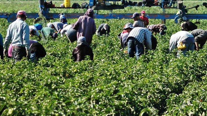 Los inmigrantes no pueden regresar a sus casas porque los condados del oeste de Colorado cerraron sus "fronteras" para todos aquellos que carecen de un permiso especial.