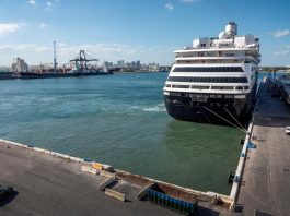 Los cuatro mexicanos que viajaban a bordo de los cruceros con contagiados por coronavirus de Holland America Lines, que atracaron en Port Everglades, consiguieron desembarcar y dos están ya en México