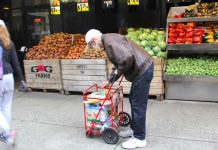 Florida celebra el arancel al tomate mexicano pero otros estados alertan de inflación
