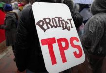 Inmigrantes amparados por el TPS perdieron su empleo por la "confusión" causada por el Gobierno La autorización de trabajo se mantiene mientras esté vigente el TPS, pero los documentos que lo prueban pueden caducar, y Gobierno no fue claro al notificar por carta a los afectados sobre las extensiones, según GAO.