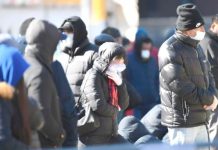 El sitio web supuestamente publicitó y vendió los kits por 39 dólares la unidad.