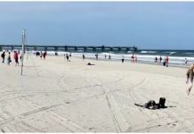 Florida analiza apertura entre presiones en contra y a favor de confinamiento Las autoridades de Florida estudian la posible retirada escalonada de las medidas contra el COVID-19, en medio de las primeras protestas contra el confinamiento.