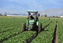 Mientras inician la plantación de primavera decenas de granjeros latinos encaran los trastornos que la pandemia de COVID-19 ha traído en las cadenas de suministros de alimentos.
