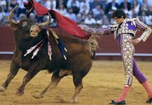 El decano de los matadores de toros, Manolo Navarro, ha fallecido esta noche a los 95 años de edad en el hospital Puerta de Hierro de Madrid