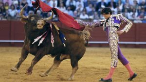 El decano de los matadores de toros, Manolo Navarro, ha fallecido esta noche a los 95 a&ntilde;os de edad en el hospital Puerta de Hierro de Madrid