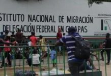 El INM precisó que consiguió el retorno de 3.653 centroamericanos por tierra a Guatemala y vía aérea a Honduras y El Salvador.