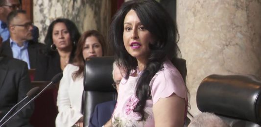Por iniciativa de la concejal latina Nury Martínez, quien ofreció un millón de dólares de fondos discrecionales para ese propósito, la ordenanza buscará ayudar a los indocumentados que viven en Los Ángeles y están enfrentando problemas para pagar sus rentas.