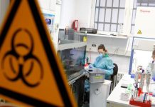Primera posible vacuna contra el nuevo coronavirus, a prueba Una posible vacuna que neutraliza el virus SARS-CoV-2, ha sido probada con éxito en ratones, pero los científicos advirtieron que las pruebas con humanos podrían demorar meses.