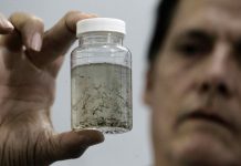 Reportan brote de dengue en Puerto Rico al alcanzar los 1.000 casos en 2020 David Capó, epidemiólogo para dirigir los esfuerzos de epidemiología del Departamento de Salud en Puerto Rico, informó este jueves que en la isla se han reportado, al momento este año, 1.000 casos de dengue, asegurando así "un brote" de dicho virus.
