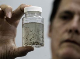 Reportan brote de dengue en Puerto Rico al alcanzar los 1.000 casos en 2020 David Capó, epidemiólogo para dirigir los esfuerzos de epidemiología del Departamento de Salud en Puerto Rico, informó este jueves que en la isla se han reportado, al momento este año, 1.000 casos de dengue, asegurando así "un brote" de dicho virus.