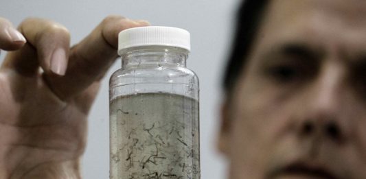 David Capó, epidemiólogo para dirigir los esfuerzos de epidemiología del Departamento de Salud en Puerto Rico, informó este jueves que en la isla se han reportado, al momento este año, 1.000 casos de dengue, asegurando así "un brote" de dicho virus.