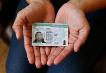 El presidente Donald Trump anunció este martes que suspende la emisión de permisos de residencia permanente para inmigrantes, conocidos como "green card"