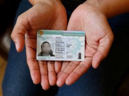 El presidente Donald Trump anunció este martes que suspende la emisión de permisos de residencia permanente para inmigrantes, conocidos como "green card"