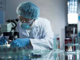 Las compañías farmacéuticas Sanofi y GSK anunciaron este martes la firma de una carta de intenciones para desarrollar juntas una vacuna contra la COVID-19 que lanzarán en ensayos clínicos en el segundo semestre de 2020