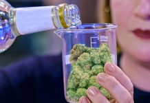 Del porro al plato: Netflix cocina con marihuana Los concursos sobre cocina en televisión se han convertido en un subgénero de lo más popular, pero ahora Netflix le da un nuevo giro con "Cooked with Cannabis"