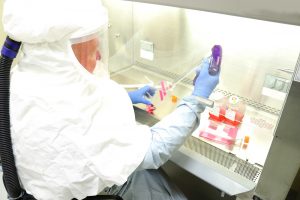 Sin ofrecer pruebas, miembros del Gobierno de Estados Unidos insinuaron este jueves que el nuevo coronavirus se origin&oacute; en un laboratorio de Wuhan