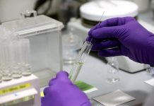 La Organización Mundial de la Salud desmintió hoy una de las informaciones falsas que más circulan en los últimos días sobre el coronavirus, aclarando que el patógeno tiene origen animal y no proviene de un laboratorio.