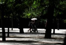 Aumentar la cantidad de espacios verdes en las ciudades podría evitar muchas muertes prematuras