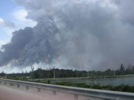 Un incendio forestal activo ha quemado más de 1.400 acres (566 hectáreas) en el sur de la Florida, la mayor parte en áreas del Parque Nacional Everglades