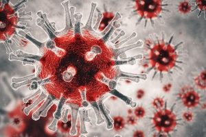 virus