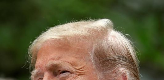 Donald Trump (2)