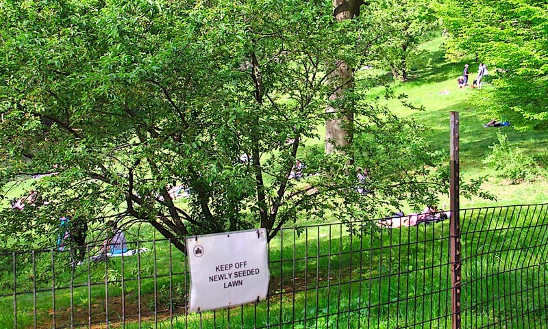 Covid-19 en Nueva York