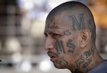 Acusan de asesinato en Nueva York a diez presuntos miembros de mara MS-13