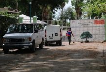 Seis ancianos de un asilo fallecen por coronavirus en el sureste de México albergue Casa del Árbol
