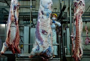 procesadora de carne