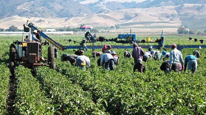 trabajadores agr&iacute;colas