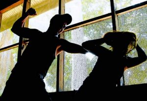 v&iacute;ctimas de violencia dom&eacute;stica