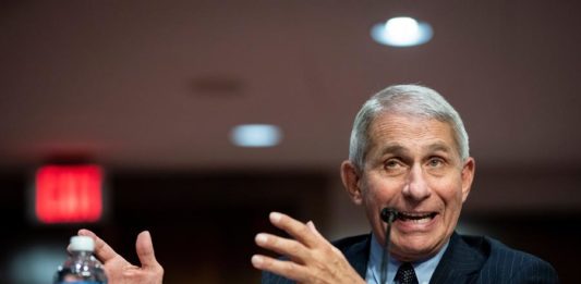 Anthony Fauci