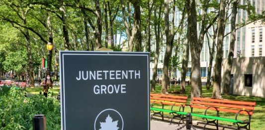 Juneteenth Grove